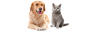 pill_image_not_found
